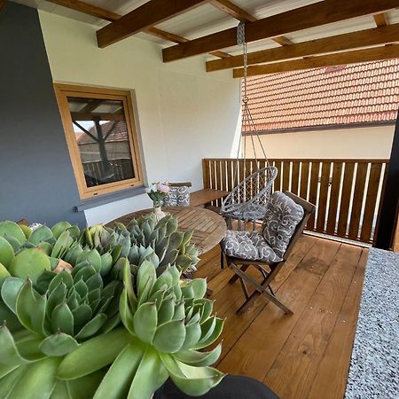 Apartman Mara Mala Subotica Extérieur photo